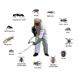 Sydney's Reliable Partner for Commercial Pest Control Solutions